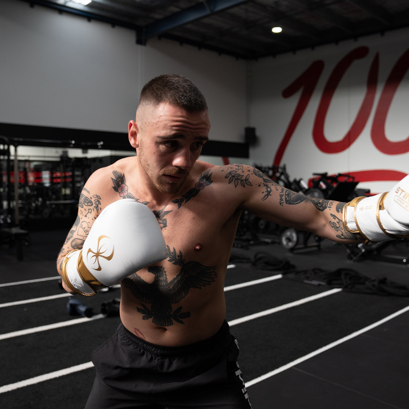 Sting Boxing Viper X Set