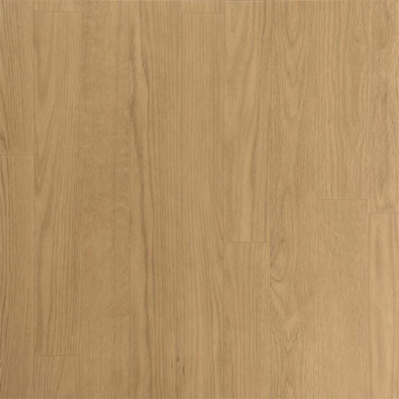 Ecore Athletic | Vinyl Baller Motivate Class I - Roll - XTC Fitness - Exercise Equipment Superstore - Canada -