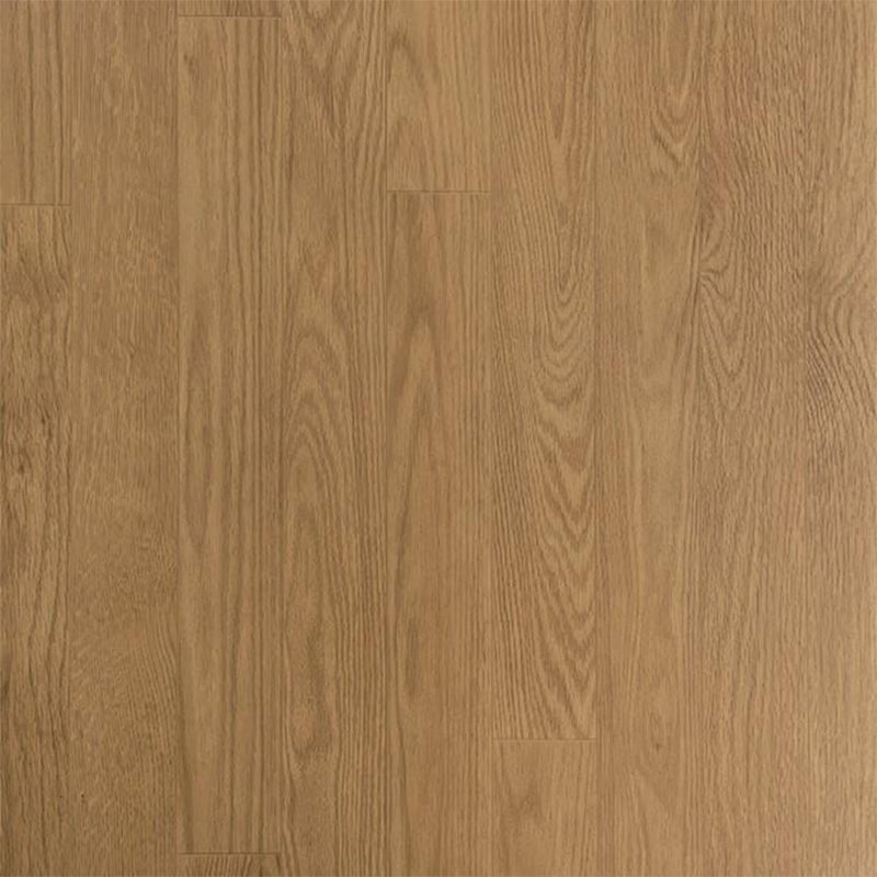 Ecore Athletic | Vinyl Baller Motivate Class I - Roll - XTC Fitness - Exercise Equipment Superstore - Canada -