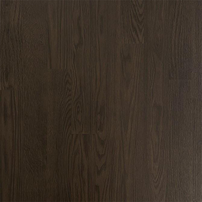 Ecore Athletic | Vinyl Baller Motivate Class I - Roll - XTC Fitness - Exercise Equipment Superstore - Canada -