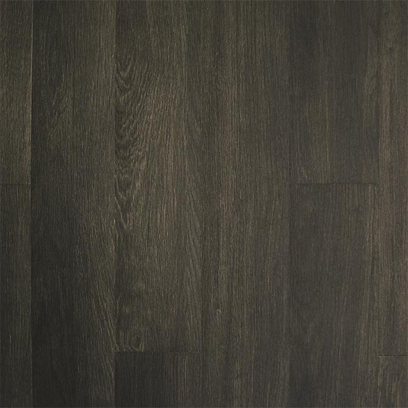 Ecore Athletic | Heritage Motivate PVT - Planks 6.25in - XTC Fitness - Exercise Equipment Superstore - Canada -