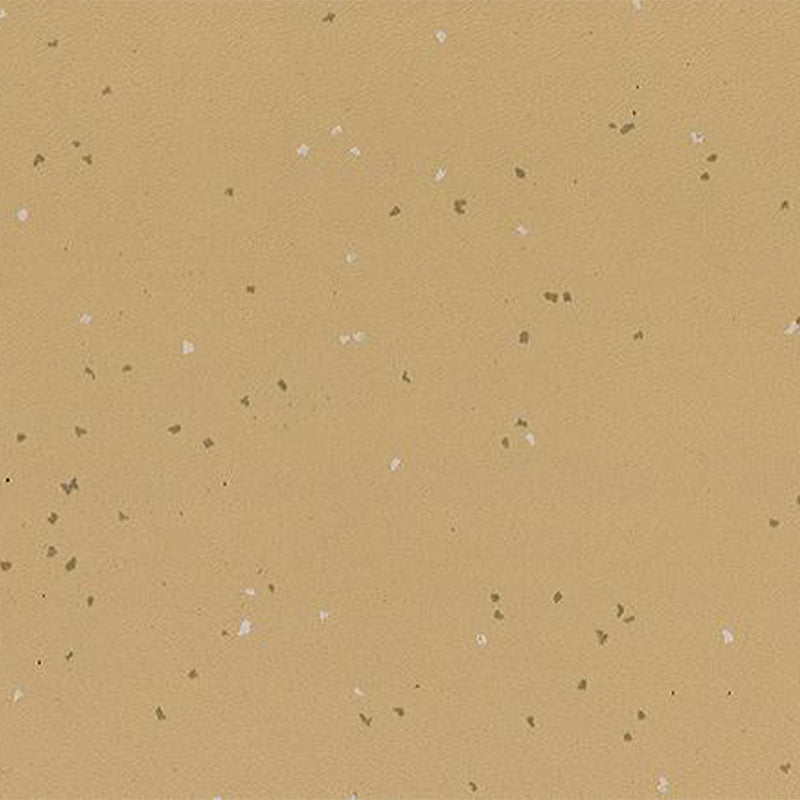 Ecore Athletic | Integrity Motivate - Roll - XTC Fitness - Exercise Equipment Superstore - Canada -