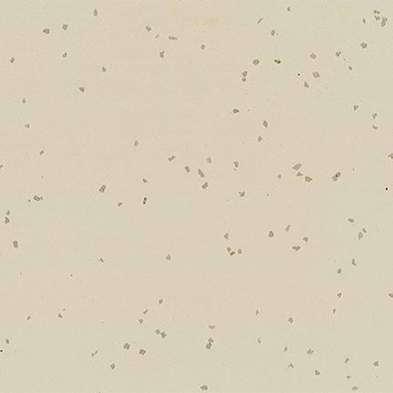 Ecore Athletic | Integrity Motivate - Roll - XTC Fitness - Exercise Equipment Superstore - Canada -