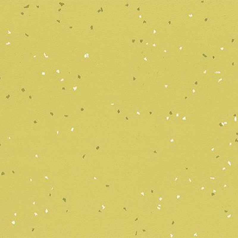 Ecore Athletic | Integrity Motivate - Roll - XTC Fitness - Exercise Equipment Superstore - Canada -