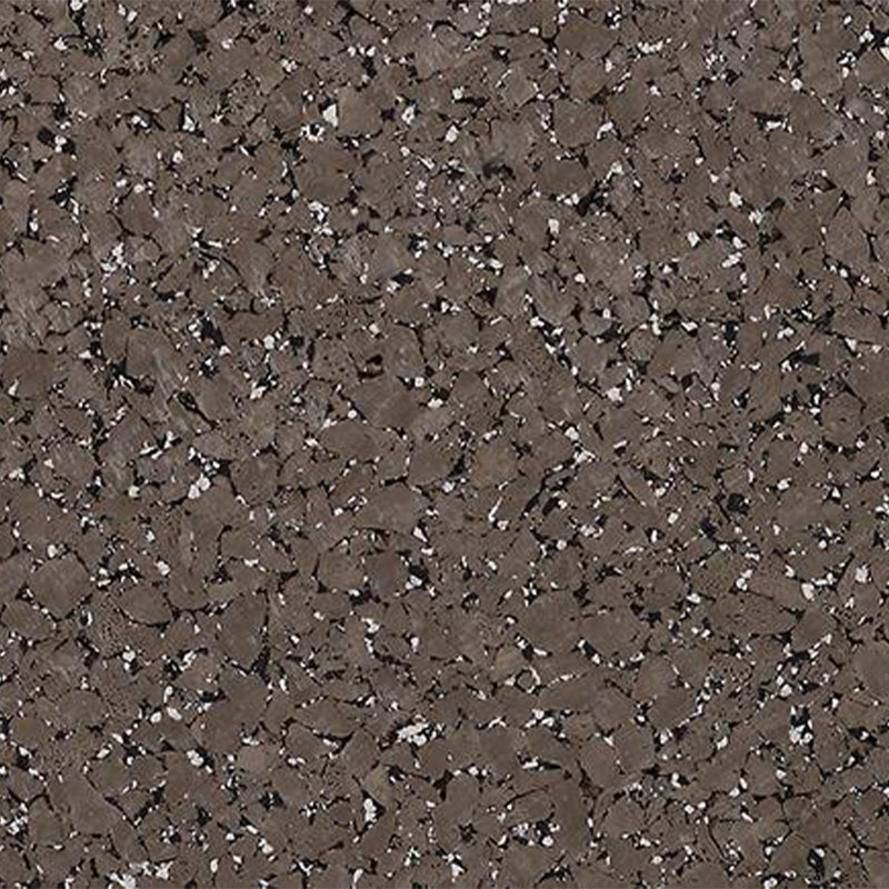 Ecore Athletic | Performance Beast - Rolls - XTC Fitness - Exercise Equipment Superstore - Canada -