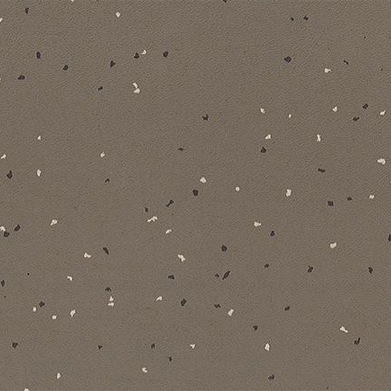 Ecore Athletic | Integrity Motivate - Roll - XTC Fitness - Exercise Equipment Superstore - Canada -