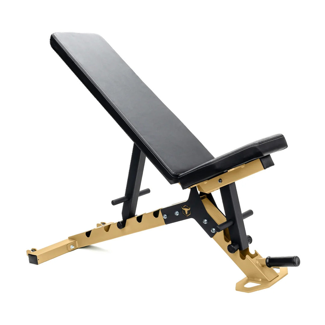 Iron Bull | AWB-L Adjustable Lite Bench - XTC Fitness - Exercise Equipment Superstore - Canada - Adjustable Bench FI