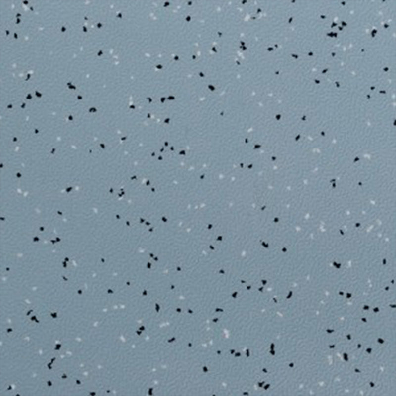 Edgewood Athletics | Starfield Fitness Tiles