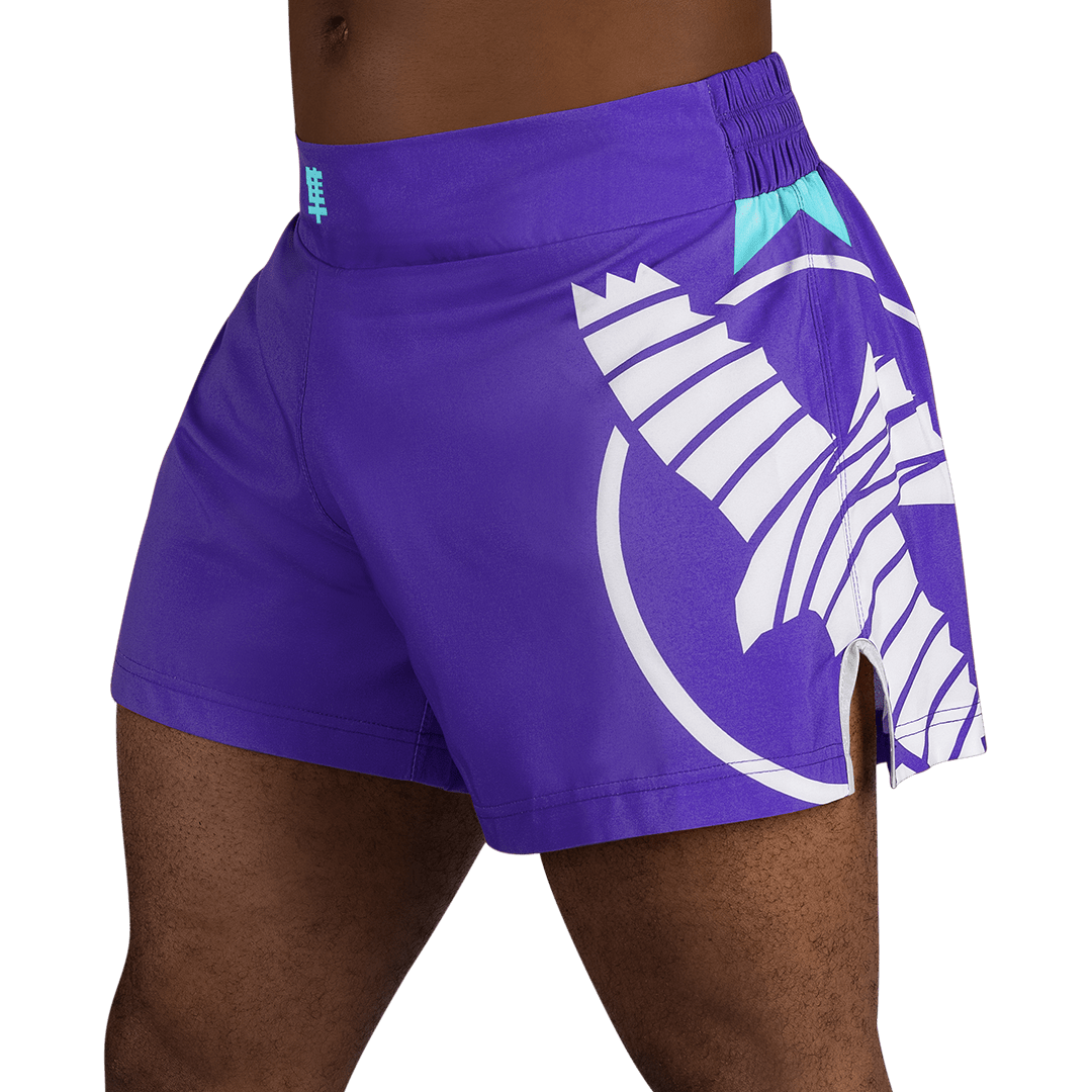 Hayabusa | Icon Kickboxing Shorts - XTC Fitness - Exercise Equipment Superstore - Canada - Kickboxing Shorts