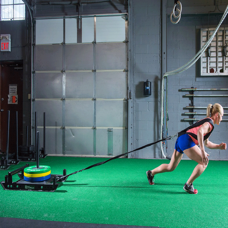 XTC Gear | X-Series Dog Sled v4 - XTC Fitness - Exercise Equipment Superstore - Canada - Dog Sled