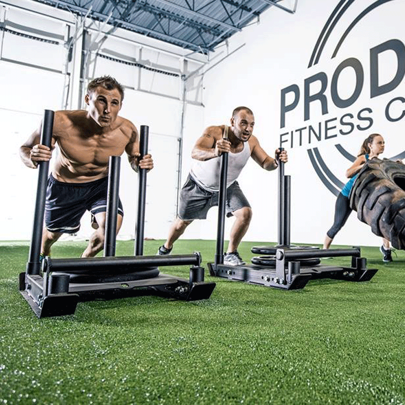XTC Gear | X-Series Dog Sled v4 - XTC Fitness - Exercise Equipment Superstore - Canada - Dog Sled