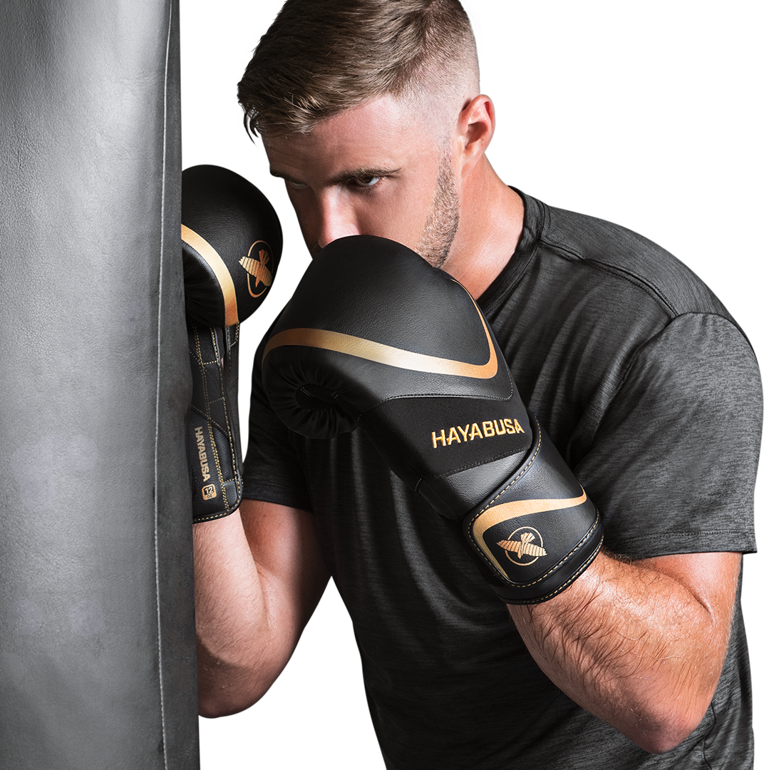 Hayabusa H5 Boxing Set