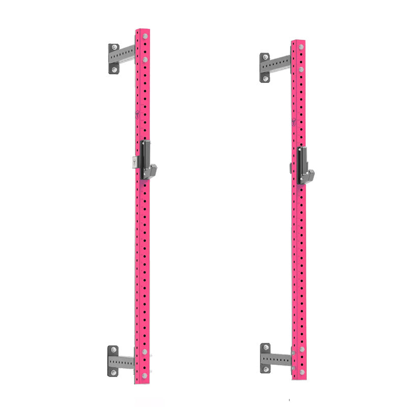 Iron Bull | WM-SR Wall Mounted Squat Rack