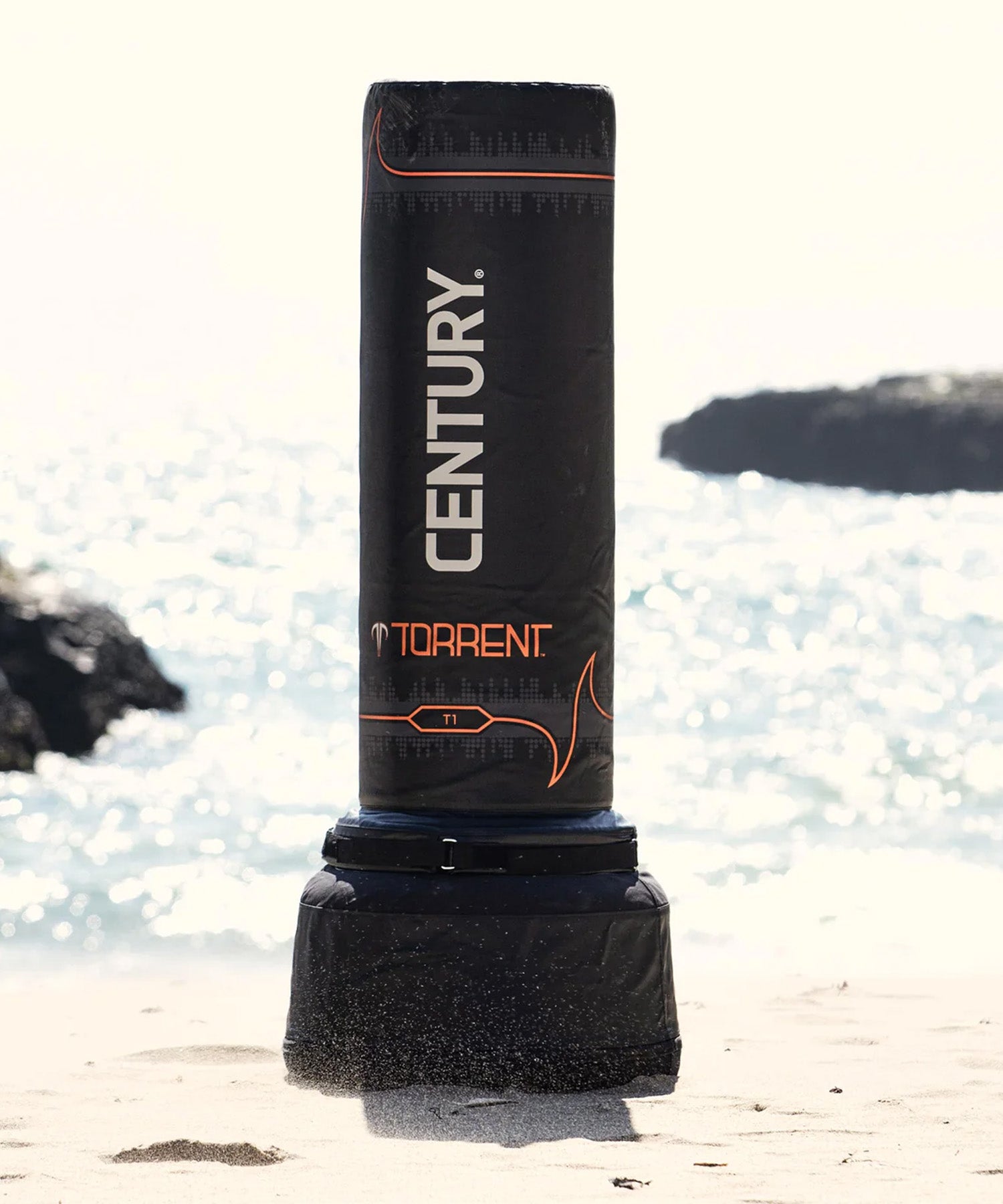 torrent_t1-7.jpg?v=1691616109&