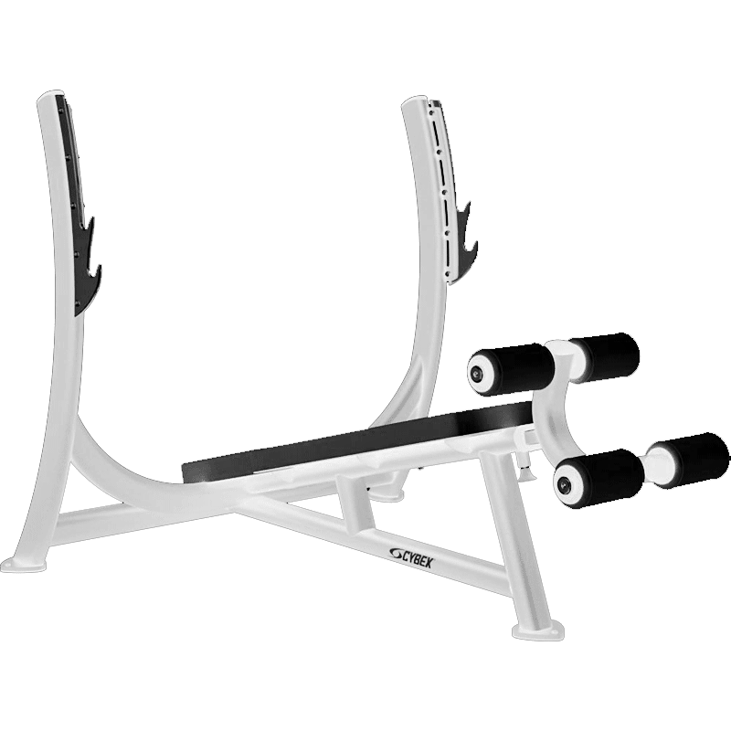 Used | Cybex - Decline Bench Press - XTC Fitness - Exercise Equipment Superstore - Canada - Used Strength