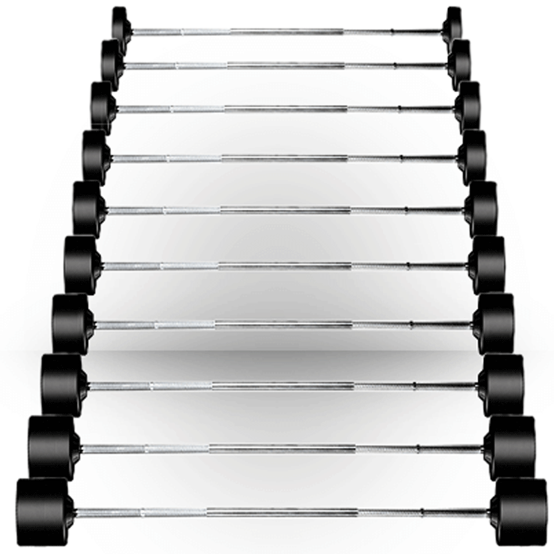 Everlast rubber barbell hotsell